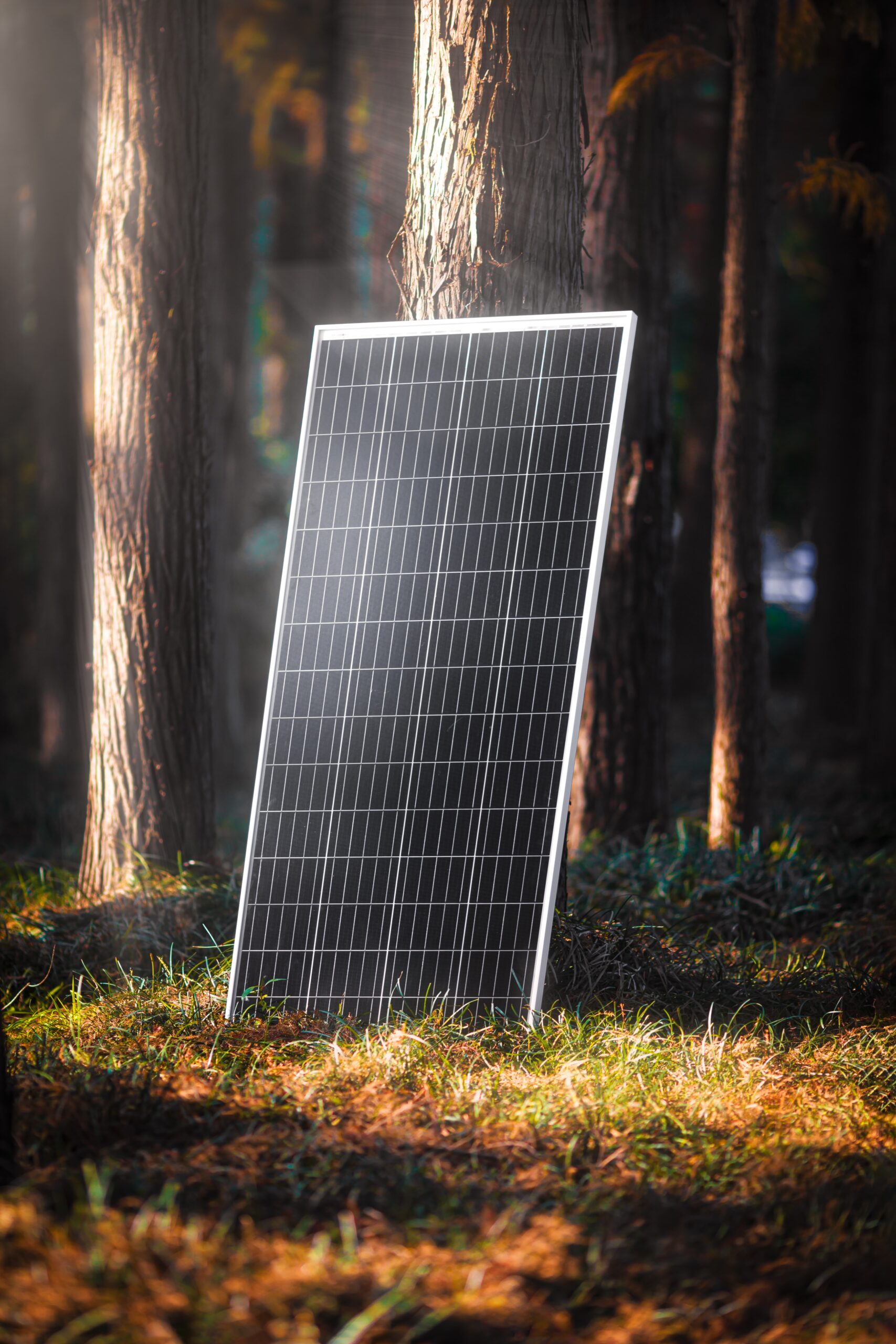 Stock-Solarpanel-Image-PowerProse